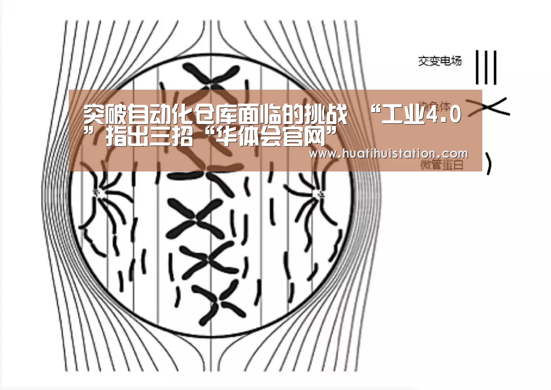 突破自动化仓库面临的挑战 “工业4.0”指出三招“华体会官网”(图2) 华体会下载