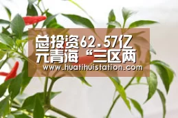 华体会品牌
